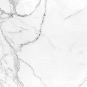 Керамогранит для пола и стены Alpas Euro Eco Marble  6291 Polished 60x60 n167690