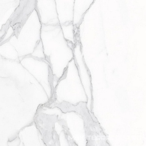 Керамогранит для пола и стены Alpas Euro Eco Marble  6291 Polished 60x60 n167690