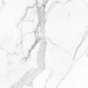 Керамогранит для пола и стены Alpas Euro Eco Marble  6291 Polished 60x60 n167690