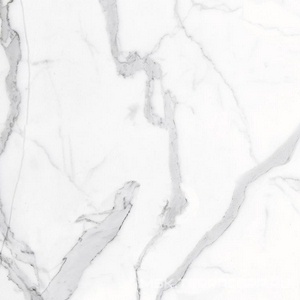 Керамогранит для пола и стены Alpas Euro Eco Marble  6291 Polished 60x60 n167690