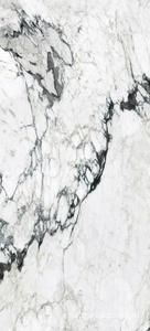 Керамогранит для пола и стены Florim Magnum Les Bijoux De Rex Bijoux  Calac Altissimo Glossy 120x280 765697