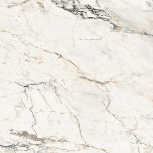 Керамогранит для пола и стены La Faenza Aesthetica AE PAO6 120 LP (п.п.)ZZ 120x120 179380