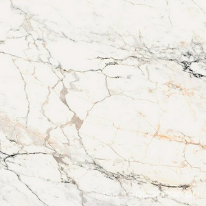 Керамогранит для пола и стены La Faenza Aesthetica AE PAO6 120 LP (п.п.)ZZ 120x120 179380