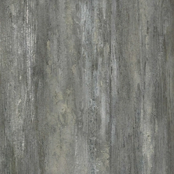 Old Tjikko 42x42