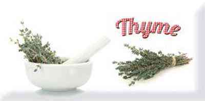 Decor Modern Thyme ZZ |10x20