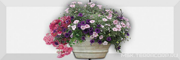 Decor Forja 01 ZZ |10x30