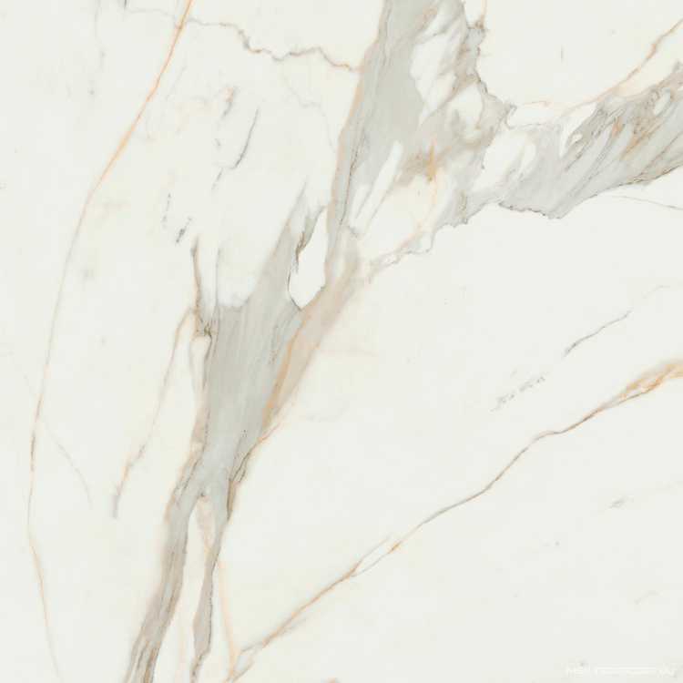 Calacata Gold  leviglass 120x120 Rec.