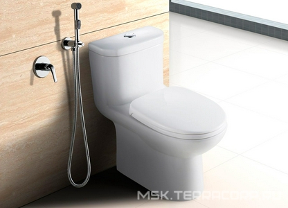 Смеситель с гигиеническим душем, встраиваемый, хром ZZ Lemark Plus Advance LM1219C