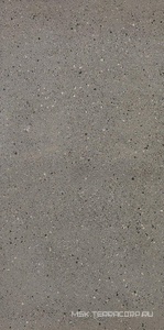 Керамогранит для пола и стены Leonardo Overcome OVRC 12G RM  (п.п.) 60x120 170629