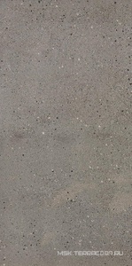 Керамогранит для пола и стены Leonardo Overcome OVRC 12G RM  (п.п.) 60x120 170629