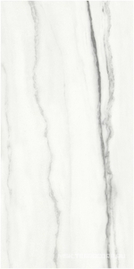 Керамогранит для пола и стены FMAX FMAX Panda White glossy 90x180 F918G10101