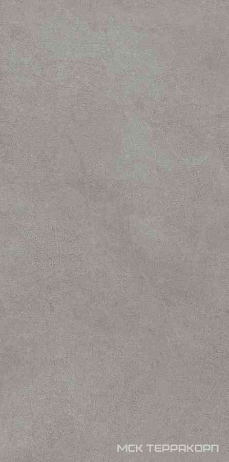 Starck Grey 20.1х40.5