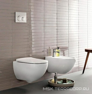 К-т:унитаз подвесн,безобод,сиден м-лифт,монтажн.рама, крепёж, клавиша цв.белый в компл.(:111.301.KJ.5 + 500.600.01.2 + 500.605.01.2),Acanto Sigma20 ZZ Geberit Selnova Square 500.301.KJ.A