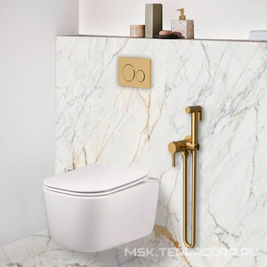 Смеситель совмещённый с гигиеническим душем, готовый комплект: лейка, шланг, скрытая часть, (цв.брашированное зотоло), Vincea ZZ Vincea Универсал VHFW-101BG