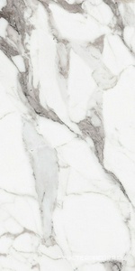 Керамогранит для пола и стены Florim Les Origines De Rex Les Origines Argent Glossy 60x120 769859