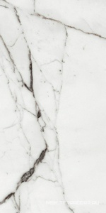 Керамогранит для пола и стены Florim Les Origines De Rex Les Origines Argent Glossy 60x120 769859