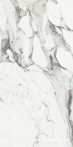 Керамогранит для пола и стены Florim Les Origines De Rex Les Origines Argent Glossy 60x120 769859