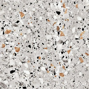 Керамогранит для пола и стены ProGRES Ceramica Evia Terrazzo   серый  глазурованный матовый 60х60 NR0373