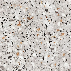 Керамогранит для пола и стены ProGRES Ceramica Evia Terrazzo   серый  глазурованный матовый 60х60 NR0373