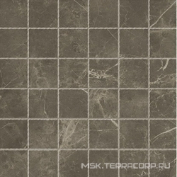 Roma Imperiale Macromosaico RT ZZ |30x30