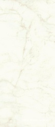 Marvel Calacatta Delicato 120x278 Lappato