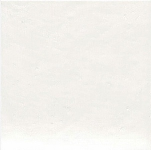 Керамогранит для пола и стены APE Ceramica Esencia Material Jai Natural KL 20x20 A040210