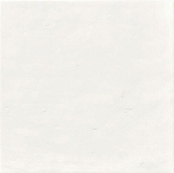 Jai Natural 20x20