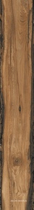 Керамогранит для пола Sadon sherwood  Mahogany 24x150 Бежевый J90590