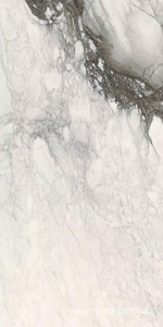 Керамогранит для пола и стены Florim Etoile de Rex Etoile Renoir Glossy 60x120 761679