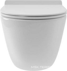 Унитаз подвесной 480х360мм, безободковый, смыв Tornado, сиденье с микролифтом, крепёж в компл., (цв.белый глянец),  Aqueduto Ovo OVOT0110