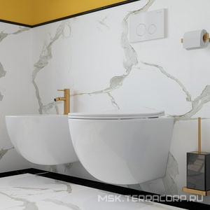 Унитаз подвесной 525х360мм, безободковый, сиденье с микролифтом, крепёж в компл., (цв.белый глянец),  Aqueduto Ovo OVO0110