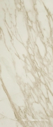 Marvel Royal Calacatta ZZ 50x120