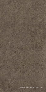 Керамогранит для пола и стены Atlas Concorde Italy Boost Stone  Tobacco 60x120  A6RA