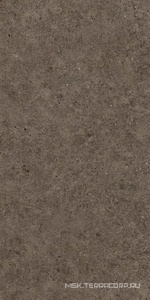 Керамогранит для пола и стены Atlas Concorde Italy Boost Stone  Tobacco 60x120  A6RA