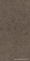 Boost Stone Tobacco ZZ 60x120 