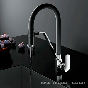 Смеситель для кухни  с каналом для питьевой воды и гибким изливом, цв.черный излив ZZ AMPM Like F8007802