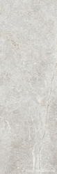 Pietra Antica Cenere 33.3x100