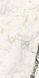 Керамогранит для пола и стены La Faenza Aesthetica AE PAO6 12 RM 60x120 179396