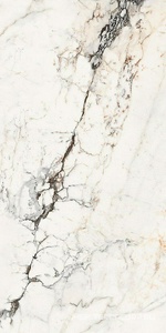 Керамогранит для пола и стены La Faenza Aesthetica AE PAO6 12 RM 60x120 179396