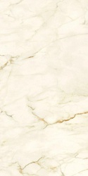 Calacatta Macchia Vecchia Natural Plus 60х120