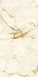 Керамогранит для пола и стены Ariostea Marmi Classici Calacatta Macchia Vecchia Natural Plus 60х120 P612575R10