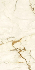 Керамогранит для пола и стены Ariostea Marmi Classici Calacatta Macchia Vecchia Natural Plus 60х120 P612575R10