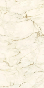 Керамогранит для пола и стены Ariostea Marmi Classici Calacatta Macchia Vecchia Natural Plus 60х120 P612575R10