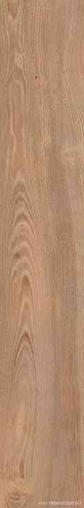 Castagno NI 9 rett 20x120