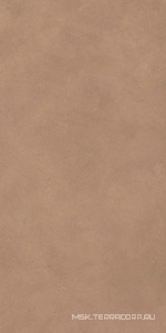 Керамогранит для пола и стены Atlas Concorde Italy Boost Natural  Coral 60x120 A65W