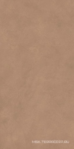 Керамогранит для пола и стены Atlas Concorde Italy Boost Natural  Coral 60x120 A65W