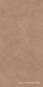 Керамогранит для пола и стены Atlas Concorde Italy Boost Natural  Coral 60x120 A65W