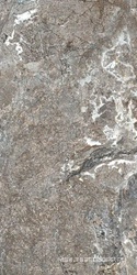 Silver Porphyry Struct 60x120       