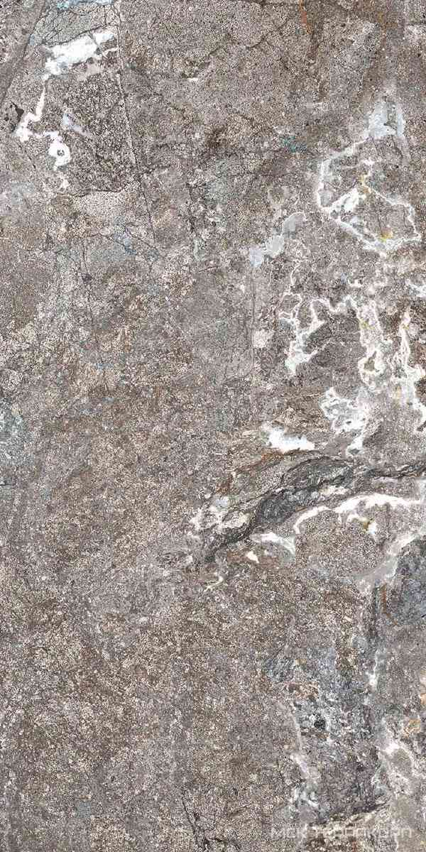 Silver Porphyry Struct 60x120       