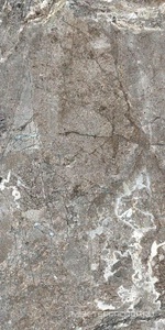 Керамогранит для пола и стены Florim Magnum Onyx&More Silver Porphyry Struct 60x120        765968